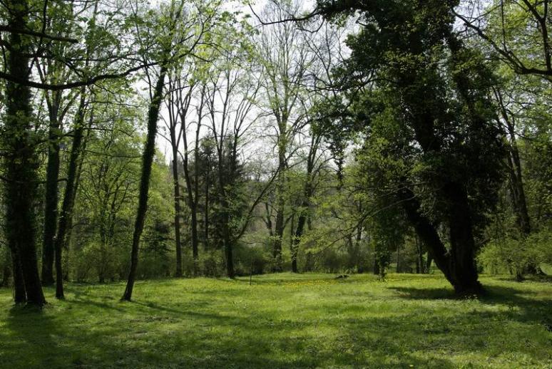 Budafapusztai Arborétum