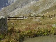 Mont Blanc (4807 m)