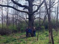 A rövidebb túra képei 3 (H.J.)