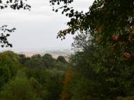 A Völgység párában