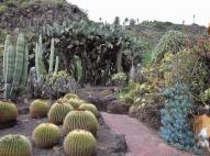 Gran Canaria botanikus kert