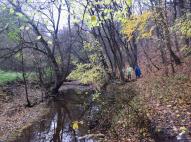 A Zsunyi-patak vadregényes völgye 1