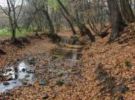 A Zsunyi-patak vadregényes völgye 2