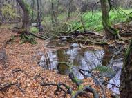 A Zsunyi-patak vadregényes völgye 3