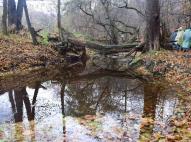 A Zsunyi-patak vadregényes völgye 4