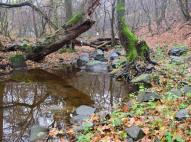 A Zsunyi-patak vadregényes völgye 5