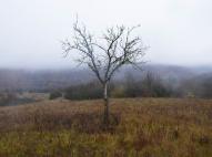 Ahol elhagytuk a patakvölgyet