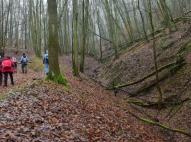 Hatló-patak völgye