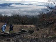 Szentendrei-sziget végétől a Hegyes-tetőig