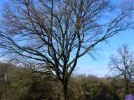 Köves-mezőre érve