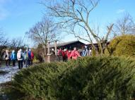 Kné Marika portája