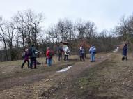 Kopasz-hegyi elágazás