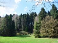 Budafapusztai arborétum