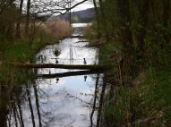Béci-patak, mögötte a kistolmácsi tó