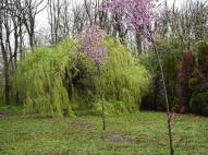 Zalakarosi parkerdő