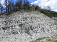 Gyulaaknai riolitttufa