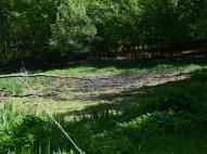 Kiszáradóban lévő Hét-tó