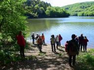 A félsziget csücske