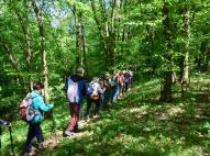 Kapaszkodó az Éles-kőre