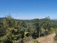 Panorámakép