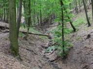 Kereszt-völgyi-patak