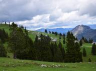 Mala Planina