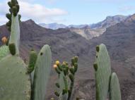 Gran Canaria, Degollada