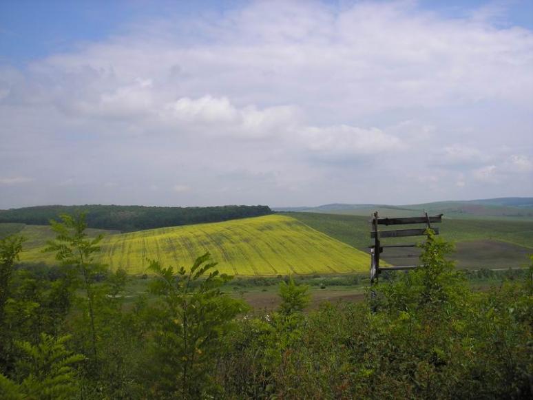 Kilátás a Kalmi-tetőről