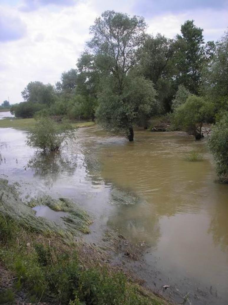 A megáradt Bódva