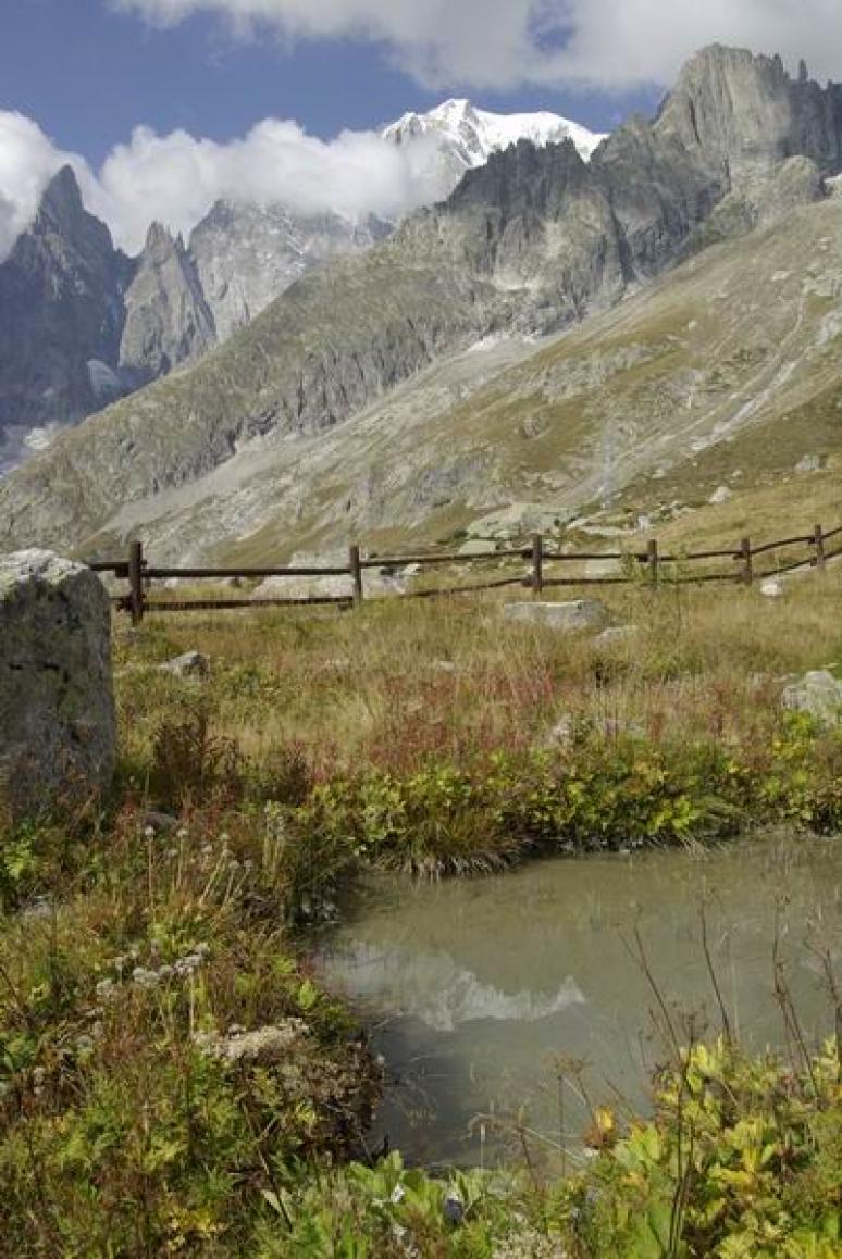 Mont Blanc (4807 m)