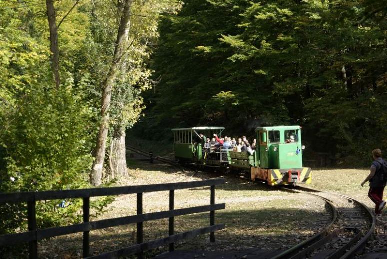 Vegyesválogatott (kocsipark)