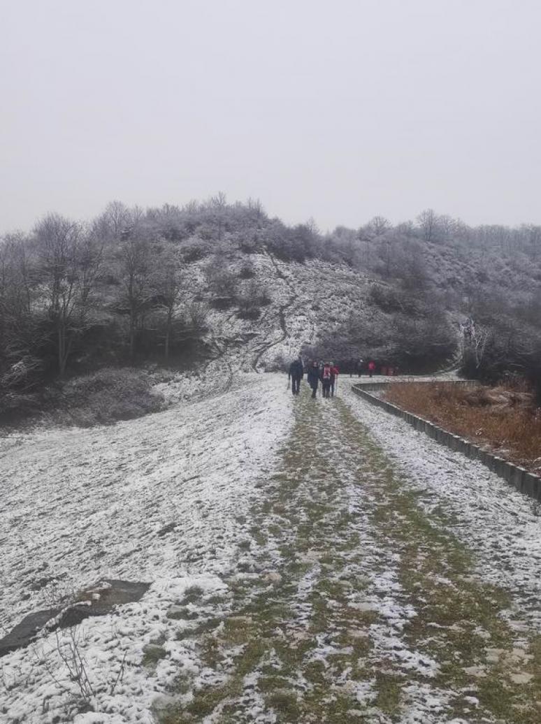 Gátról az erdei út kezdete (U.Zs.)