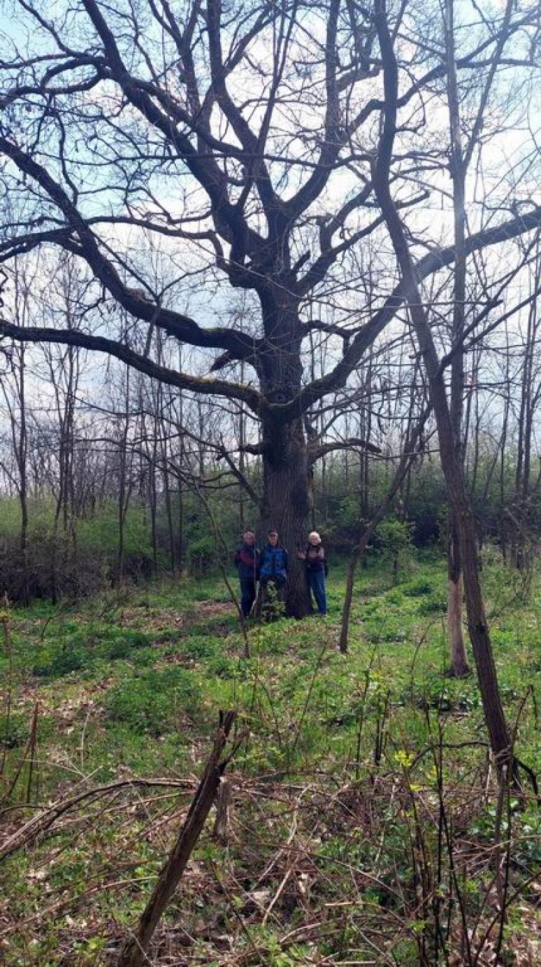 A rövidebb túra képei 3 (H.J.)