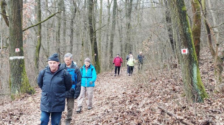 Nagykovácsi felé (röv. túra, H.J.)