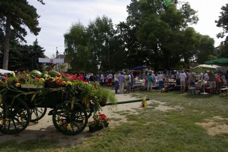 A hivatalos lecsófőző verseny