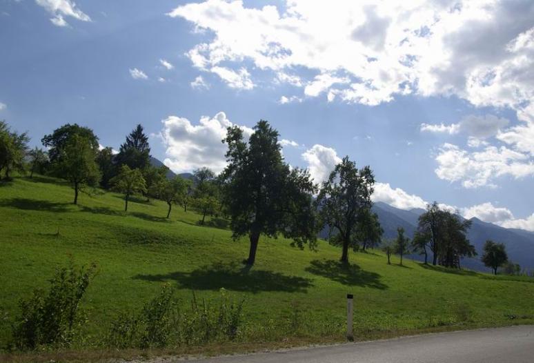 Bohinj