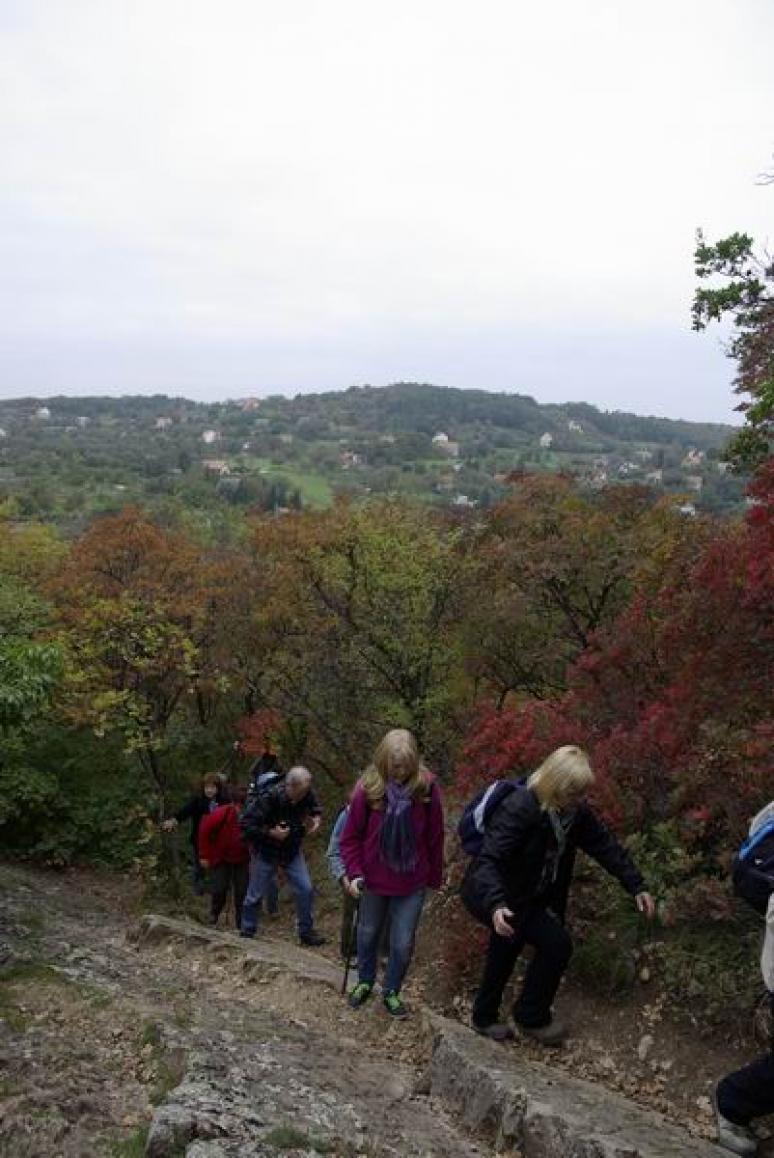 Kapaszkodó