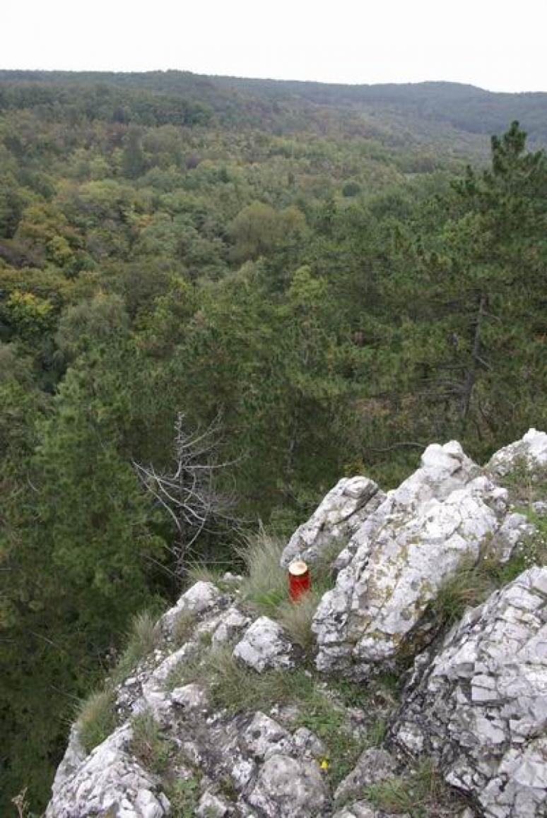 Valaki elvétette a lépést