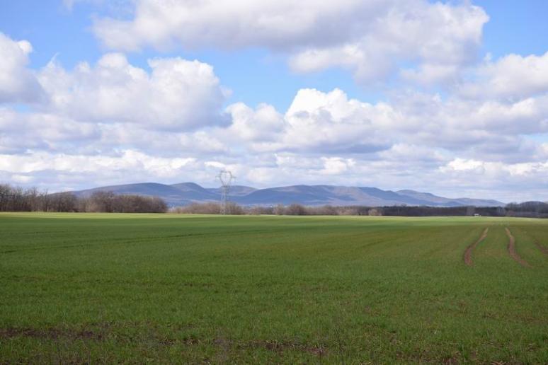 Szemben a Vörös-kő