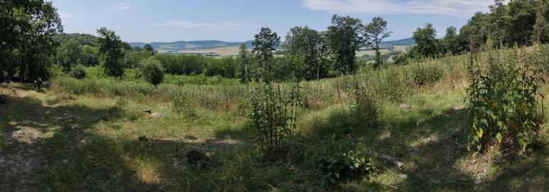 Panorámakép