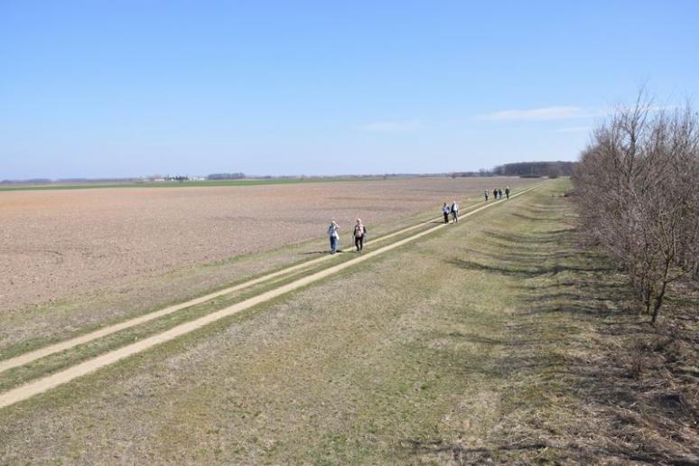 Magaslesről a többiek