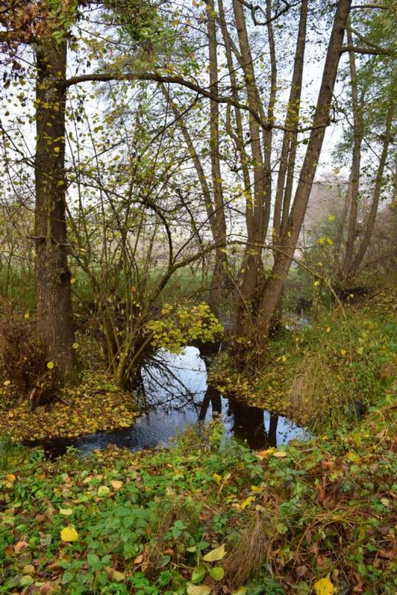 Völgységi-patak