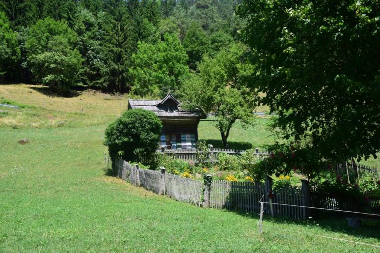 Méhlegelő