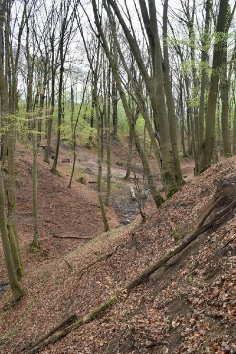 Törökmező felé haladva