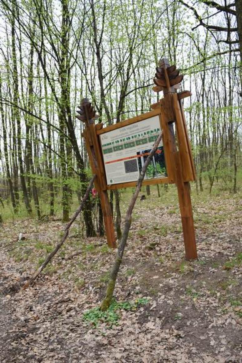 Csicsás ismeretterjesztő-tábla - magyar módra