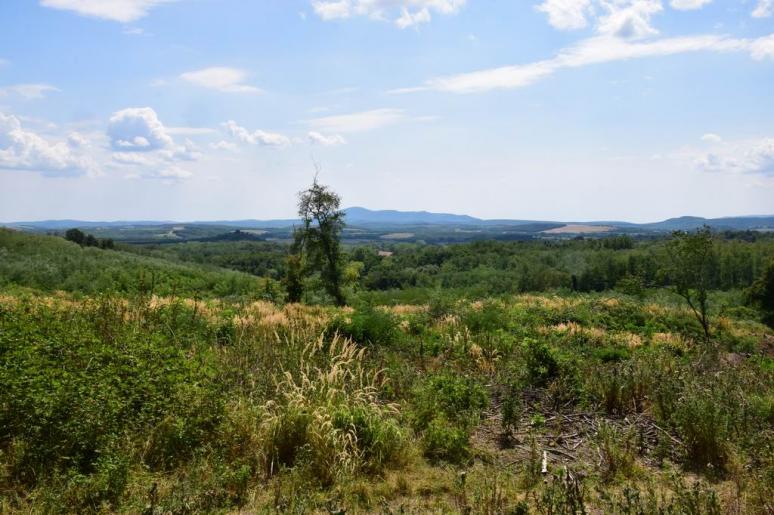 Kilátás