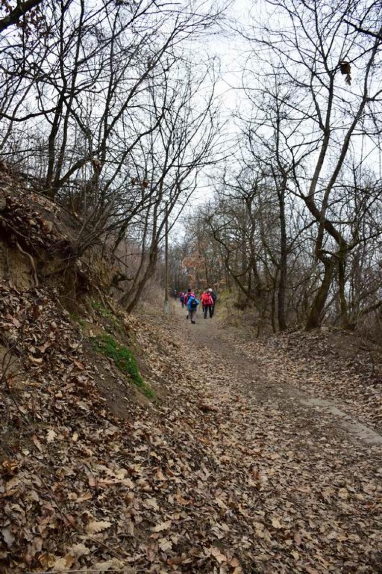 Kapaszkodó