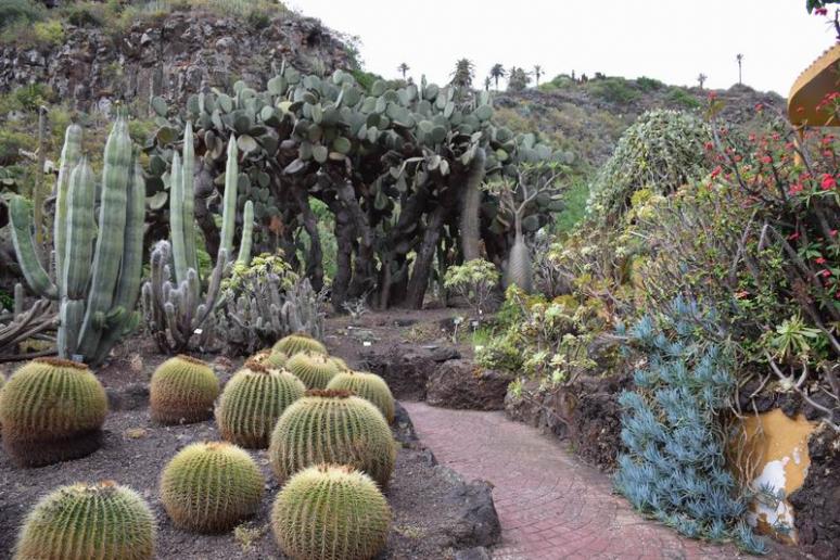 Gran Canaria botanikus kert