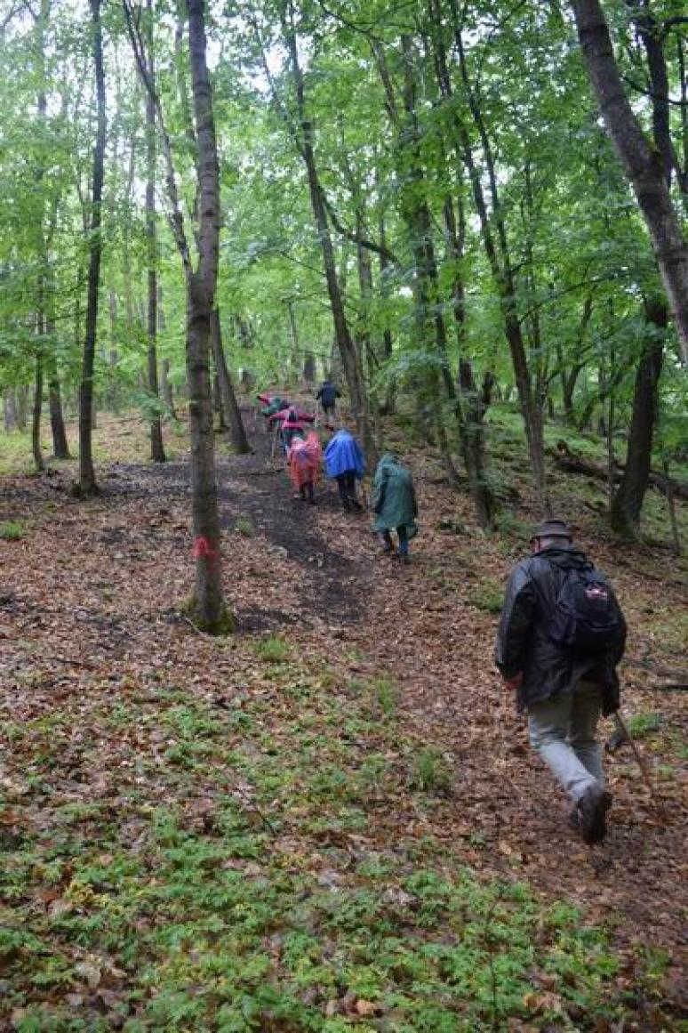 Kapaszkodó a Kis-Farkas-kőre