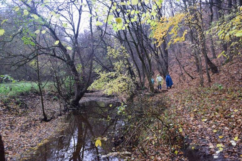 A Zsunyi-patak vadregényes völgye 1